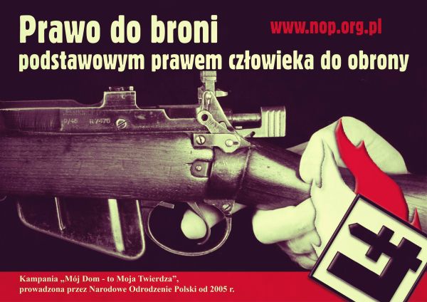 Broń palna dla Polaków – stanowisko nacjonalistów