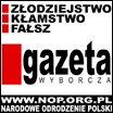 Gwno Wyborcze