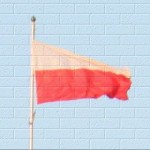 Nowa jakość polityczna w Polsce. Wspólna kampania wyborcza PO, PiS i SLD