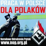 „Gazeta Wyborcza”: Postulat pracy dla Polaków w Polsce to hańba.