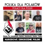 „Polska dla Polaków, Polacy dla Polski!” – klipy wyborcze NOP