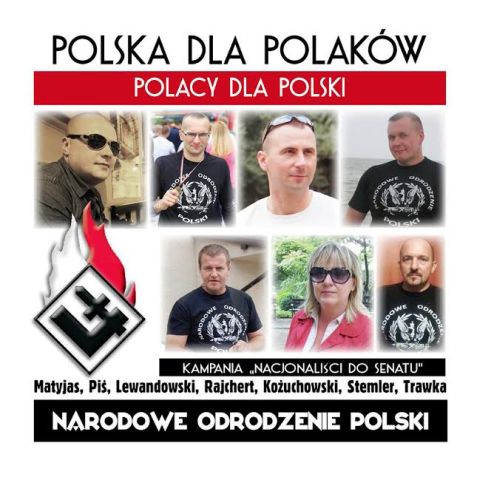 polacydlapolski