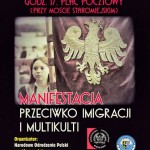 Manifestacja przeciwko imigracji i multikulti